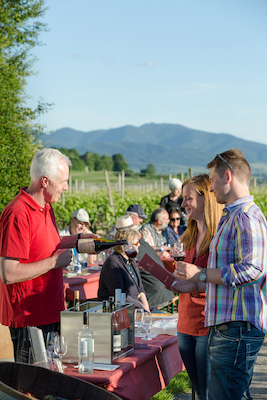 Bild: Kulinarische Weinwanderung auf dem Bad Krozinger Rebberg