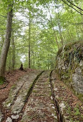 Bild: Sieben Kreuzle Tour. Unterwegs auf dem alten Postkutschenweg
