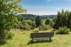 Bild: Alpenblick, Ochsenberg und die Herren von Wildentierberg