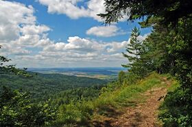 Bild: Herbstfarben rund ums ehemalige Hochmoor