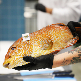 Bild: Menüabend - QSFP Menü