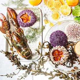 Bild: Menüabend - Hummermenü