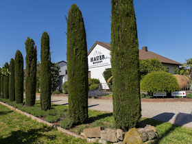 Hauer´s Weinwelt