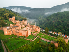 Bild: Schloss- und Festungsruine Hardenburg