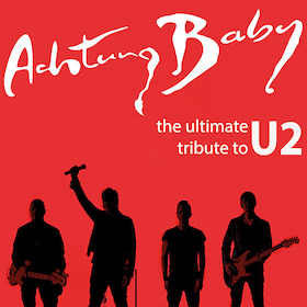 Bild: Die besten Tribute-/Coverbands!