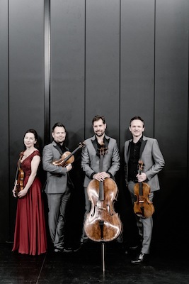 Bild: #3 Eröffnungskonzert im Landkreis Schwäbisch Hall - BASSic Instinct