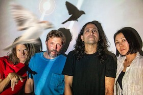 Bild: DEERHOOF