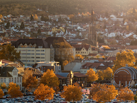 Bild: Herbstzauber: Stadtgeschichte(n), Zwiebelkuchen & Neuer Wein