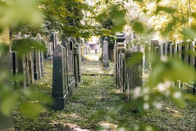 Stadtspaziergänge 2026