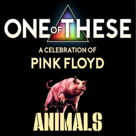 Bild: One Of These – A Celebration of Pink Floyd - Animals-Tour