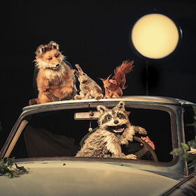 Bild: Theater Kuckucksheim - Tanz der Tiere