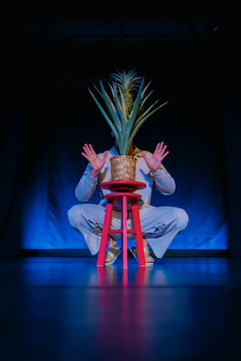 Bild: The Pineapple Commitment - Berlin Premiere