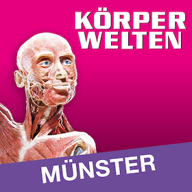 Bild: KÖRPERWELTEN | Münster | Zeitfensterticket