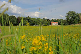 Bild: Erlebniswanderung durch die Obere Allerniederung bei Celle - Erlebniswanderung am Tag des Wanderns in Celle