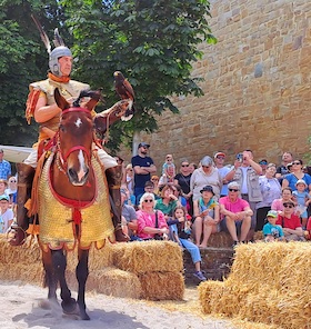 Bild: Römerfest Alzey 2026 - Eintrittskarte