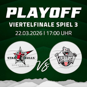 2025/2026 | DEL2 Playoffs