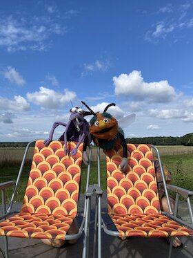 Bild: Mücke macht Picknick - Kindertheater