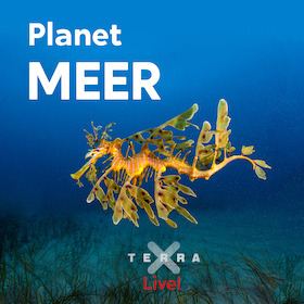 Bild: Planet Meer - Terra X Live