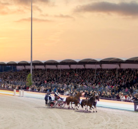 Bild: Horses & Dreams - Abendshow am Samstag