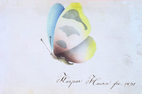 Bild: Ich selbst - Wer ist das?