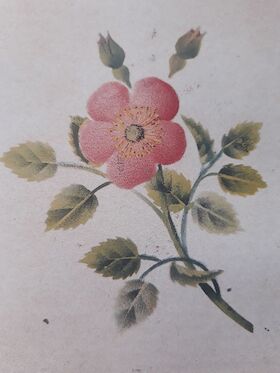 Bild: Gold, Weihrauch und Myrrhe