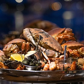 Bild: Edutainment – Meeresfrüchtesause