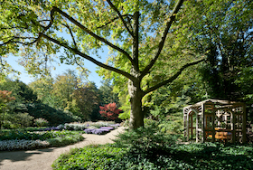 Bild: "Ab ins Grüne" - Führung durch den Stadtpark und Botanischen Garten - Gartenkultur mit Daniela Toman