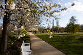Bild: "Wer kennt wen?“ – Die Bäume im Botanischen Garten Gütersloh