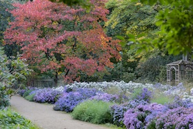 Bild: "Wer kennt wen?“ – Die Bäume im Botanischen Garten Gütersloh