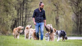 Bild: Sami El Ayachi - Der zugewandte Hund!