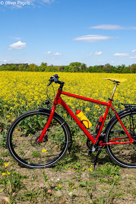 Bild: Radtour - Mittsommer-Tour