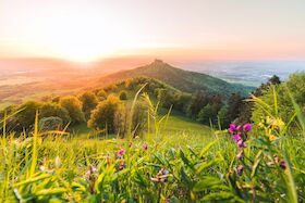 Bild: Bärlauch-Wanderung 2026