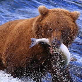 Bild: Alaska und der Südwesten der USA