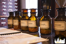 Bild: Rundgang über das Gelände des LWL Klinikums Gütersloh