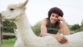 Bild: Freddy Ekué - "Mein Tösterland"