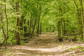 Bild: Naturwunder Darßwald: Entdeckungstour für Groß und Klein