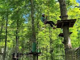 Bild: Der Wald aus einer anderen Perspektive: Auf- und Abseilen im Kletterpark