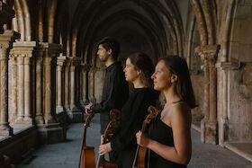 Bild: Ayres Extemporae - Fine Companion