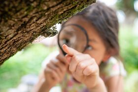 Bild: 2 Berge - 5 Sinne: Familienwanderung zwischen Schalksburg & Heersberg