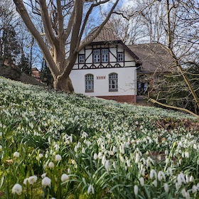 Bild: »Wortlaut« – die Lesebühne im Literaturhaus