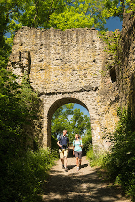 Bild: Kleine Wanderung zur Burgruine Kalsmunt mit Turmbesteigung