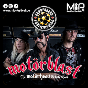 Bild: Public Viewing am Donnerberg – Konzert – Böhse Onkels Tribute Show (Stainless Steel)