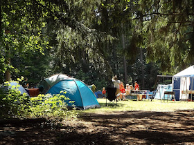 Bild: 26. African Music Festival - Camping 2026
