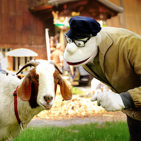 Bild: Werner Momsen - Momsen, Tiere, Sensationen