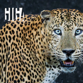 Bild: ASK Nettinsdorf Foto | Gemeinschaftsausstellung