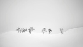 Bild: 2026 Seminare »horizonte zingst« - Minimalistische Schwarz-Weiß-Fotografie bei -42 Grad in Kanada's Winter