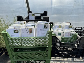 Bild: Workshop: Ein Tütchen voller Fragen: Was in unserem Saatgut steckt.