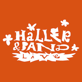 Bild: HALLER - Live in Wiesbaden