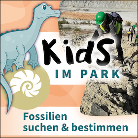 Bild: Kids im Park: Fossilien suchen & bestimmen