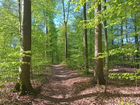 Bild: Mai-Wanderung durch das Naturschutzgebiet "Im Sieken und Bruch"